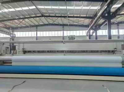 新闻 常德hdpe土工膜厂家送货 产品出售