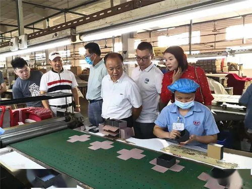 肇庆市侨联深入侨青企业走访调研