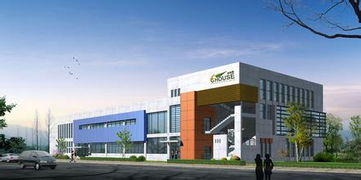 绿建居木石地板 融合自然与科技的建材新选择